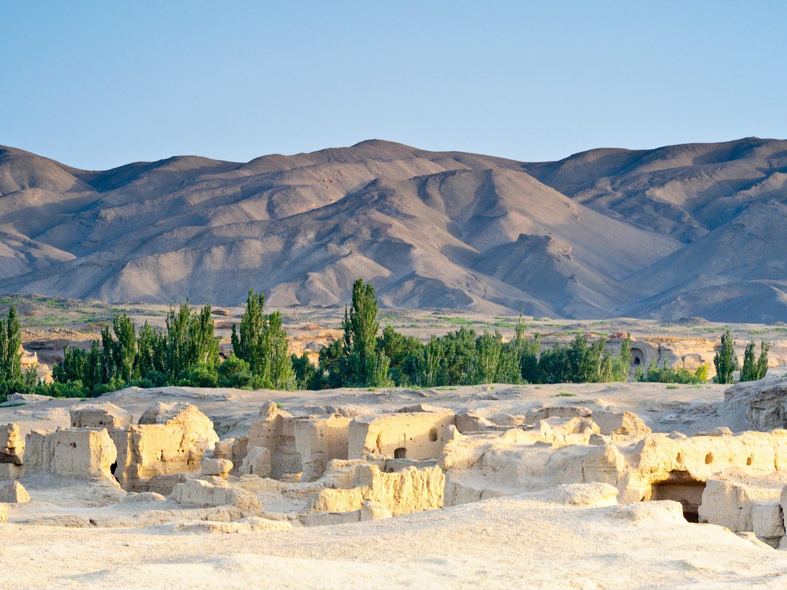 Ruins, desert, trees, and mountain. Photograph © iStock.com/dwatanabe.